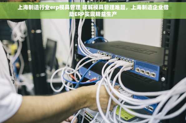上海制造行业erp模具管理 破解模具管理难题，上海制造企业借助ERP实现精益生产