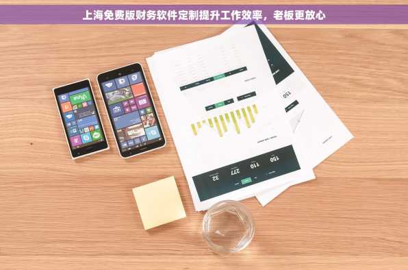 上海免费版财务软件定制提升工作效率，老板更放心