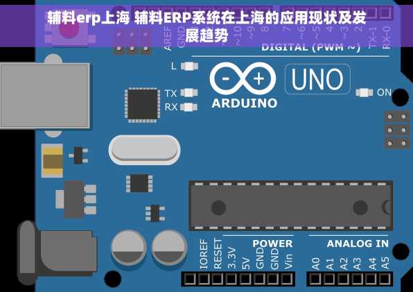 辅料erp上海 辅料ERP系统在上海的应用现状及发展趋势