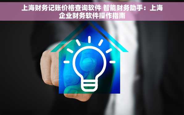 上海财务记账价格查询软件 智能财务助手：上海企业财务软件操作指南