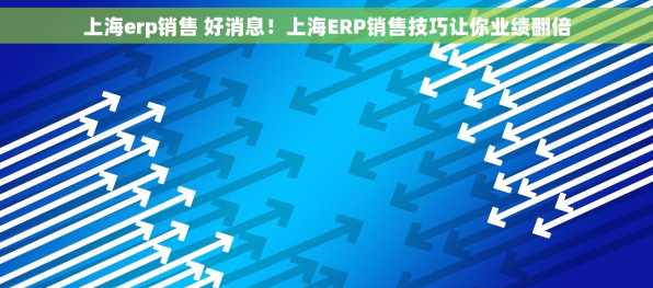 上海erp销售 好消息！上海ERP销售技巧让你业绩翻倍