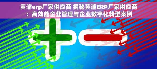 黄浦erp厂家供应商 揭秘黄浦ERP厂家供应商：高效能企业管理与企业数字化转型案例