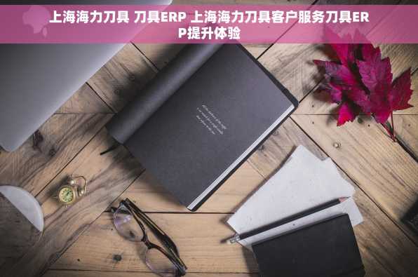 上海海力刀具 刀具ERP 上海海力刀具客户服务刀具ERP提升体验