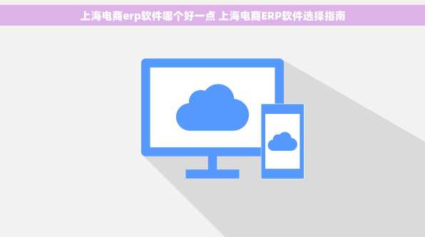 上海电商erp软件哪个好一点 上海电商ERP软件选择指南