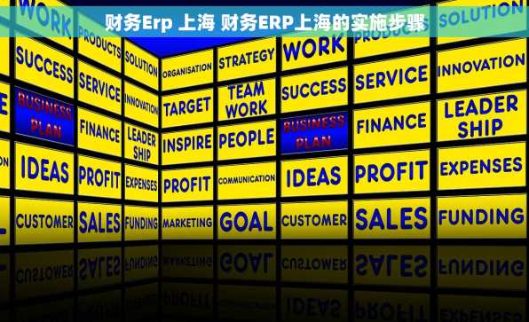 财务Erp 上海 财务ERP上海的实施步骤