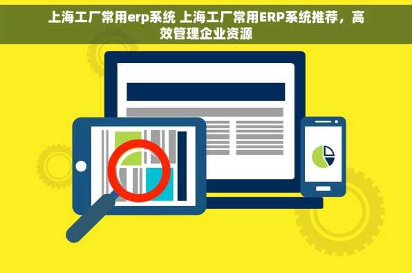 上海工厂常用erp系统 上海工厂常用ERP系统推荐，高效管理企业资源