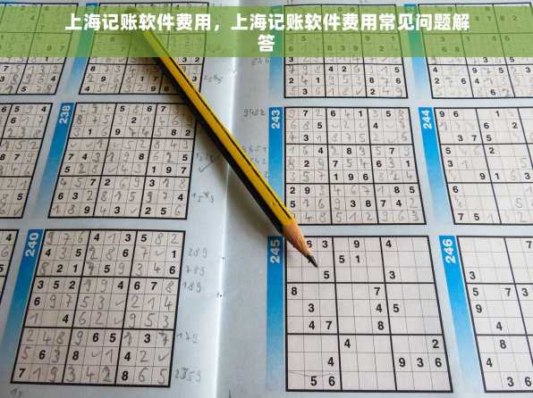 上海记账软件费用，上海记账软件费用常见问题解答
