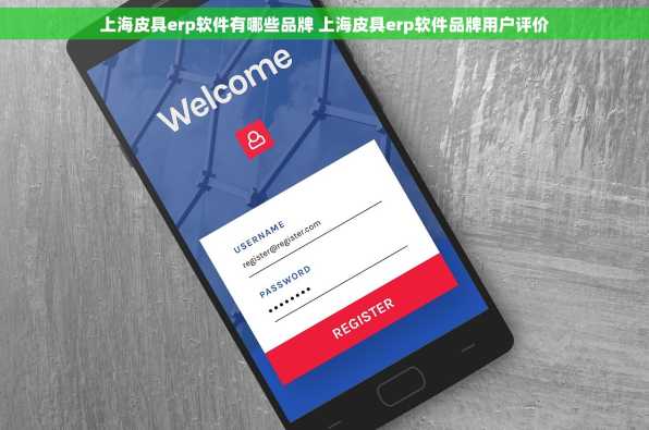 上海皮具erp软件有哪些品牌 上海皮具erp软件品牌用户评价