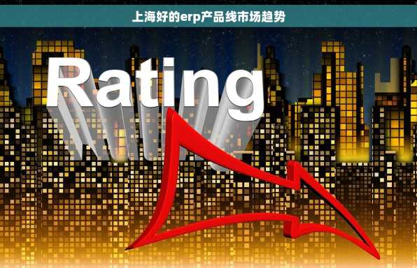 上海好的erp产品线市场趋势