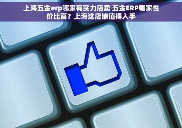 上海五金erp哪家有实力店卖 五金ERP哪家性价比高？上海这店铺值得入手