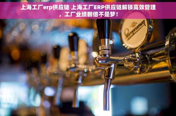 上海工厂erp供应链 上海工厂ERP供应链解锁高效管理，工厂业绩翻倍不是梦！
