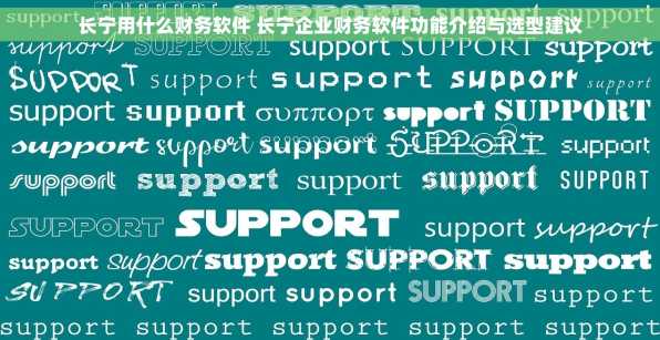 长宁用什么财务软件 长宁企业财务软件功能介绍与选型建议