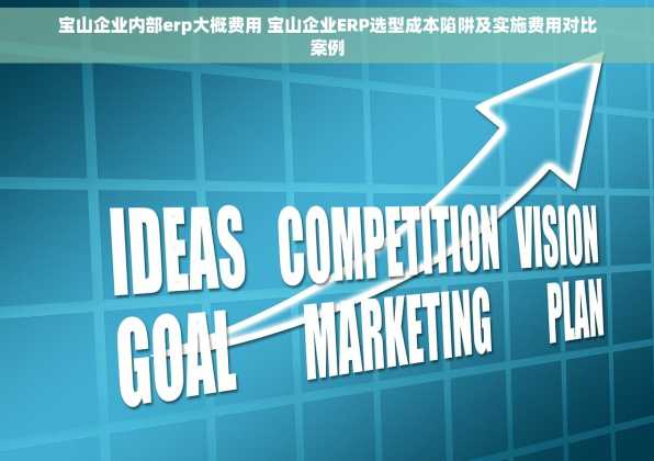 宝山企业内部erp大概费用 宝山企业ERP选型成本陷阱及实施费用对比案例