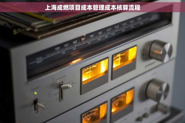上海成燃项目成本管理成本核算流程