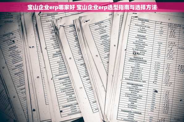 宝山企业erp哪家好 宝山企业erp选型指南与选择方法