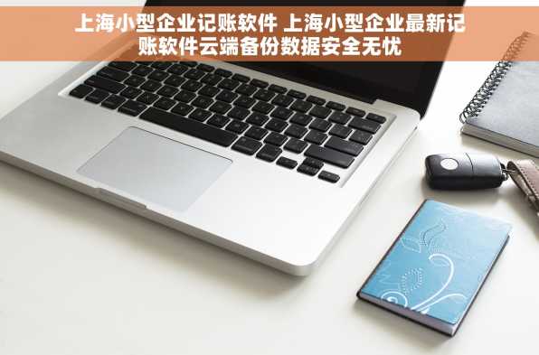 上海小型企业记账软件 上海小型企业最新记账软件云端备份数据安全无忧