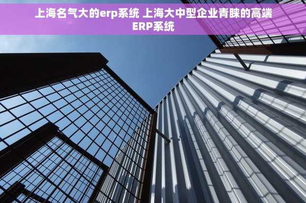 上海名气大的erp系统 上海大中型企业青睐的高端ERP系统