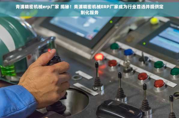 青浦精密机械erp厂家 揭秘！青浦精密机械ERP厂家成为行业首选并提供定制化服务