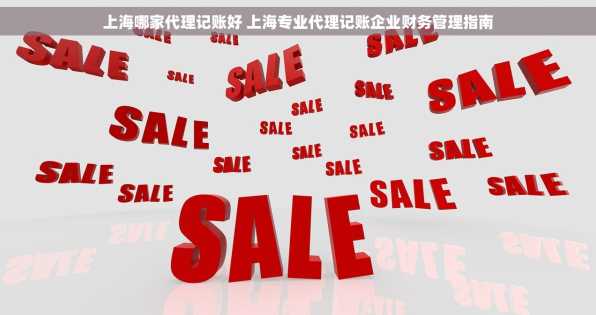上海哪家代理记账好 上海专业代理记账企业财务管理指南