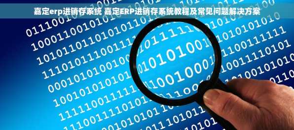 嘉定erp进销存系统 嘉定ERP进销存系统教程及常见问题解决方案