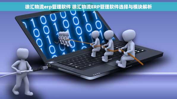徐汇物流erp管理软件 徐汇物流ERP管理软件选择与模块解析