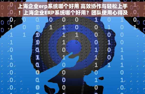 上海企业erp系统哪个好用 高效协作与轻松上手！上海企业ERP系统哪个好用？团队使用心得及入门教程