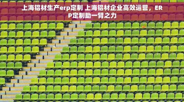 上海铝材生产erp定制 上海铝材企业高效运营，ERP定制助一臂之力