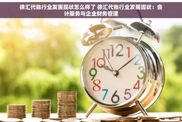 徐汇代账行业发展现状怎么样了 徐汇代账行业发展现状：会计服务与企业财务管理