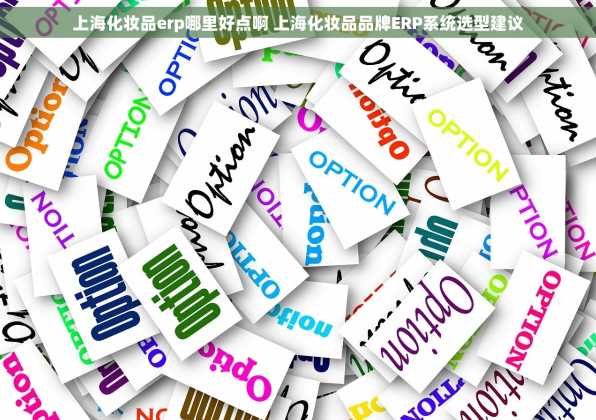 上海化妆品erp哪里好点啊 上海化妆品品牌ERP系统选型建议