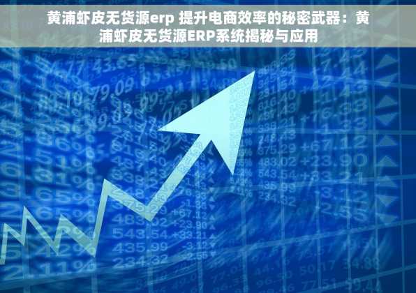 黄浦虾皮无货源erp 提升电商效率的秘密武器：黄浦虾皮无货源ERP系统揭秘与应用