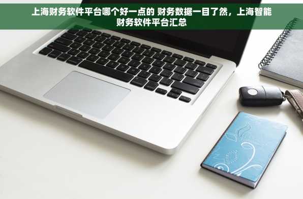 上海财务软件平台哪个好一点的 财务数据一目了然，上海智能财务软件平台汇总
