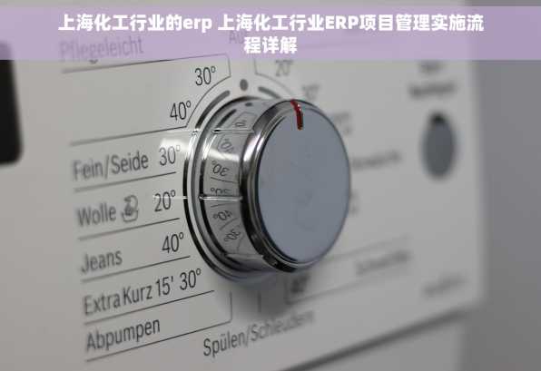 上海化工行业的erp 上海化工行业ERP项目管理实施流程详解
