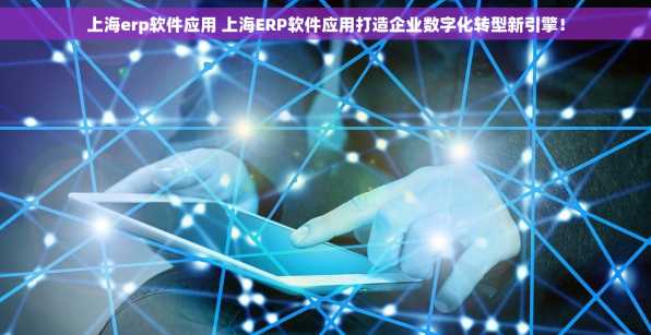 上海erp软件应用 上海ERP软件应用打造企业数字化转型新引擎！