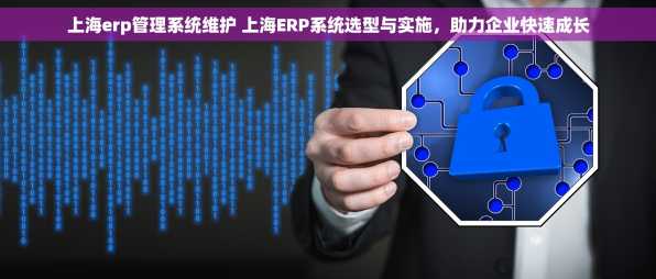 上海erp管理系统维护 上海ERP系统选型与实施，助力企业快速成长