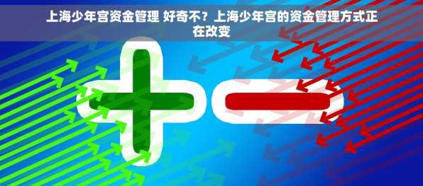上海少年宫资金管理 好奇不？上海少年宫的资金管理方式正在改变