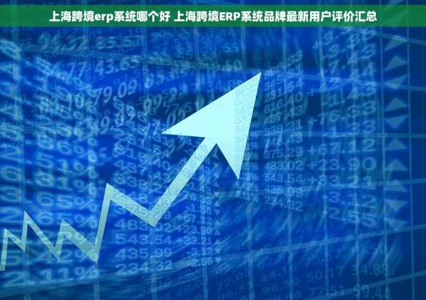 上海跨境erp系统哪个好 上海跨境ERP系统品牌最新用户评价汇总