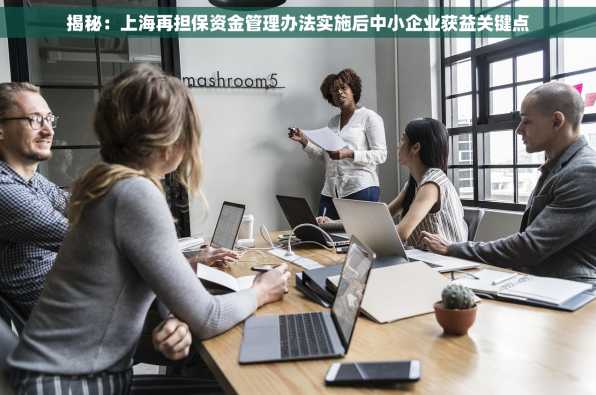 揭秘：上海再担保资金管理办法实施后中小企业获益关键点
