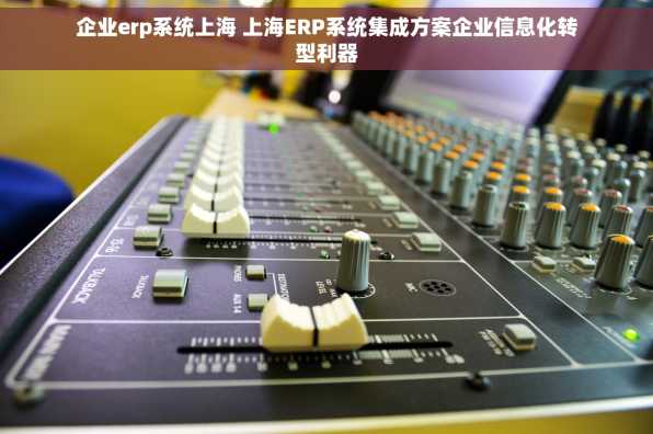 企业erp系统上海 上海ERP系统集成方案企业信息化转型利器