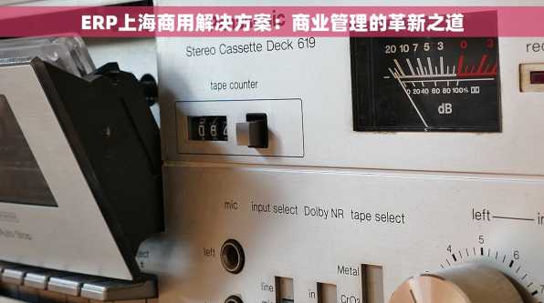 ERP上海商用解决方案：商业管理的革新之道