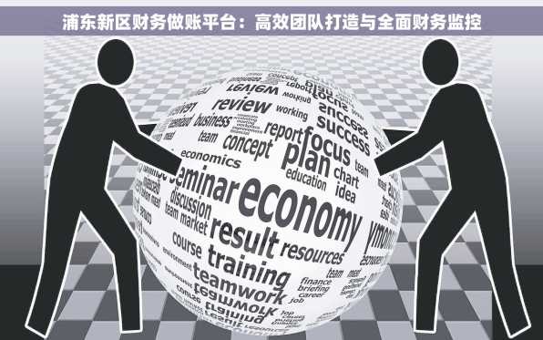 浦东新区财务做账平台：高效团队打造与全面财务监控
