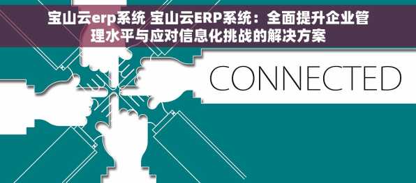 宝山云erp系统 宝山云ERP系统：全面提升企业管理水平与应对信息化挑战的解决方案