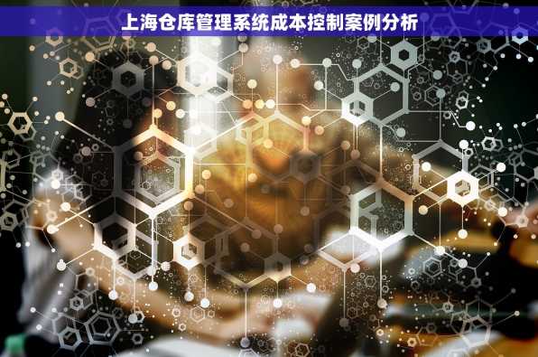 上海仓库管理系统成本控制案例分析