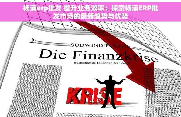 杨浦erp批发 提升业务效率：探索杨浦ERP批发市场的最新趋势与优势