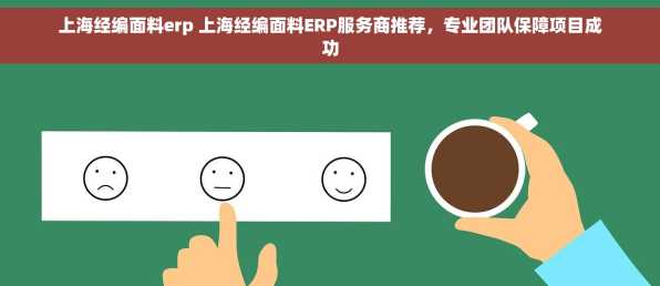 上海经编面料erp 上海经编面料ERP服务商推荐，专业团队保障项目成功
