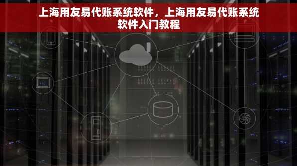 上海用友易代账系统软件，上海用友易代账系统软件入门教程