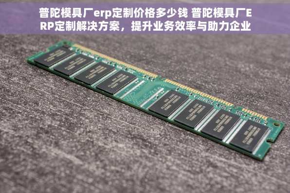 普陀模具厂erp定制价格多少钱 普陀模具厂ERP定制解决方案，提升业务效率与助力企业数字化转型