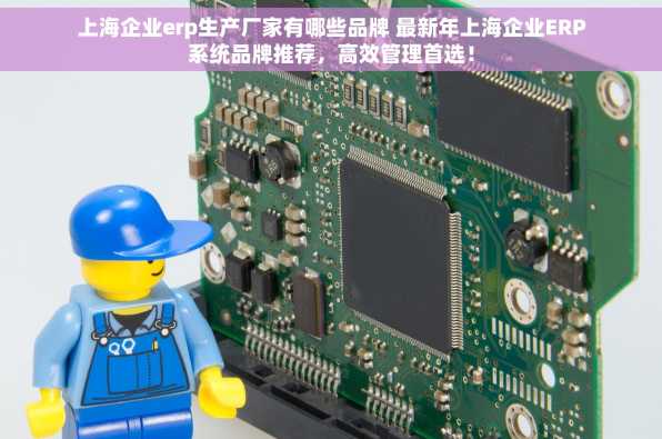 上海企业erp生产厂家有哪些品牌 最新年上海企业ERP系统品牌推荐，高效管理首选！