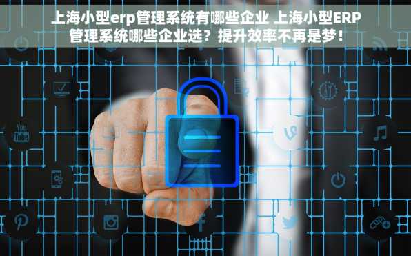 上海小型erp管理系统有哪些企业 上海小型ERP管理系统哪些企业选？提升效率不再是梦！