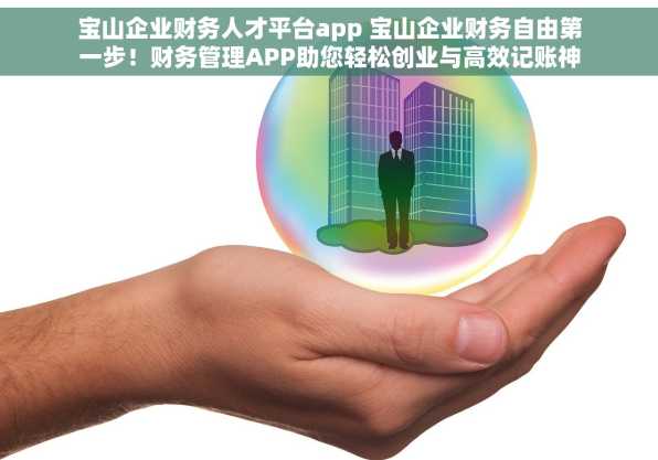 宝山企业财务人才平台app 宝山企业财务自由第一步！财务管理APP助您轻松创业与高效记账神器