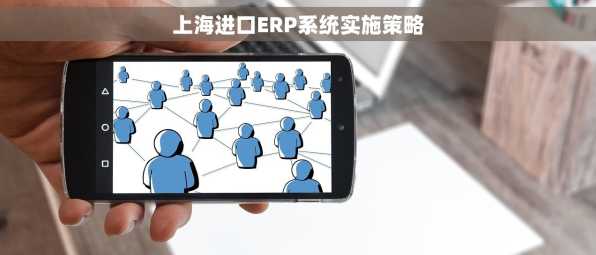 上海进口ERP系统实施策略